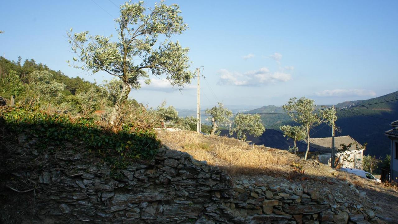 Вілла "Casa Do Avo Armindo" Mountain Experience Віла-Реал Екстер'єр фото